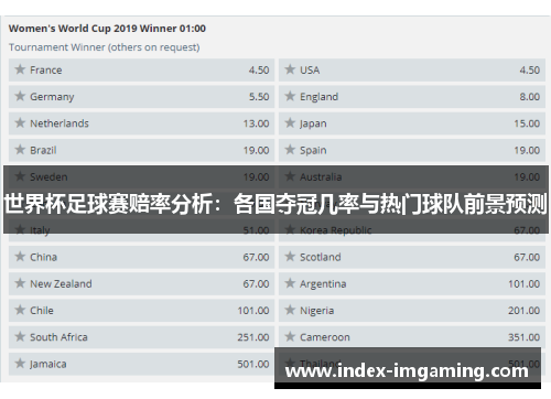 世界杯足球赛赔率分析：各国夺冠几率与热门球队前景预测