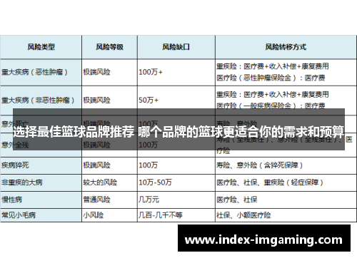 选择最佳篮球品牌推荐 哪个品牌的篮球更适合你的需求和预算