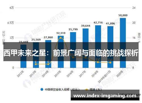 西甲未来之星：前景广阔与面临的挑战探析