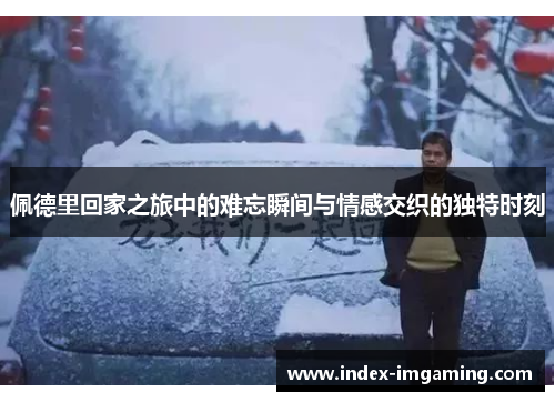 佩德里回家之旅中的难忘瞬间与情感交织的独特时刻