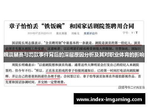 魏震禁赛与罚款事件背后的深层原因分析及其对职业体育的影响