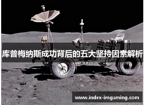 库普梅纳斯成功背后的五大坚持因素解析