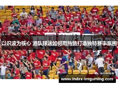 以识波为核心 港队球迷如何用热情打造独特赛事氛围