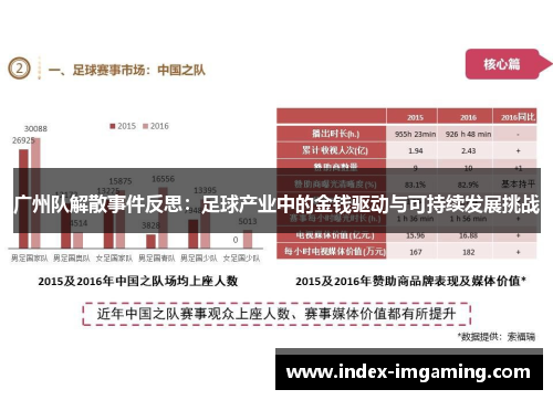 广州队解散事件反思：足球产业中的金钱驱动与可持续发展挑战