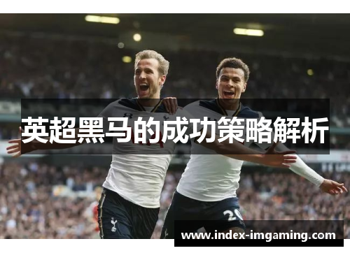英超黑马的成功策略解析