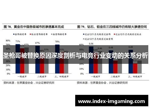圣枪哥被替换原因深度剖析与电竞行业变动的关系分析