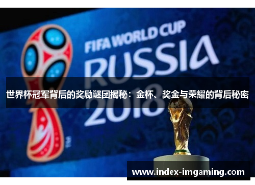 世界杯冠军背后的奖励谜团揭秘：金杯、奖金与荣耀的背后秘密