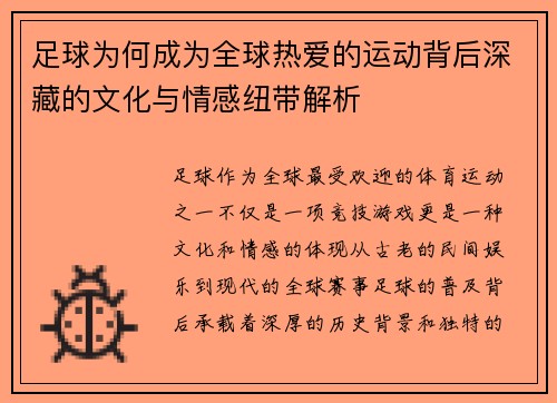 足球为何成为全球热爱的运动背后深藏的文化与情感纽带解析