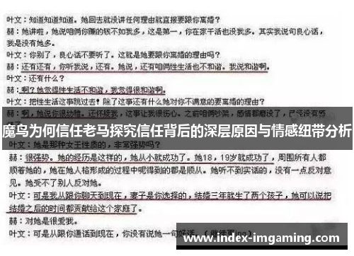 魔鸟为何信任老马探究信任背后的深层原因与情感纽带分析