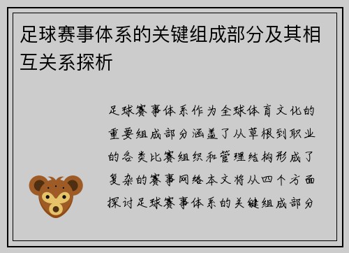足球赛事体系的关键组成部分及其相互关系探析